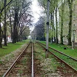 Kopli *