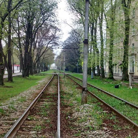 Kopli *